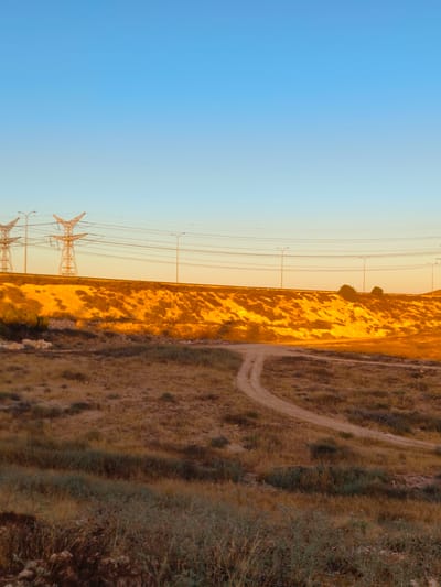 The image depicts a sun-drenched, arid landscape under a clear blue sky, characteristic of Be'er-Sheva, Israel. In the foreground, dry, golden-brown grass and scrub cover the uneven terrain, with a dirt path winding through it. A gentle slope rises towards the midground, where it is illuminated by the warm, intense glow of the setting or rising sun, highlighting the dry vegetation and sandy soil. Along the crest of this slope, a line of power lines stretches across the frame, supported by tall, angular metal pylons. Several streetlights are also visible along the top of the slope, suggesting the proximity of a road or infrastructure. The overall impression is one of a natural environment touched by human development, bathed in the warm, dramatic light of either dawn or dusk.