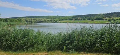 A tranquil lake is framed by lush green reeds in the foreground, with a gentle breeze rustling their stalks. Beyond the reeds, the calm water reflects the clear blue sky dotted with fluffy white clouds. The distant shore is lined with a dense forest of green trees, and further beyond, rolling green hills create a picturesque backdrop. The scene appears to be a natural landscape with no visible people or structures, suggesting a peaceful and untouched environment. The location is identified as Romănești, Moldova.