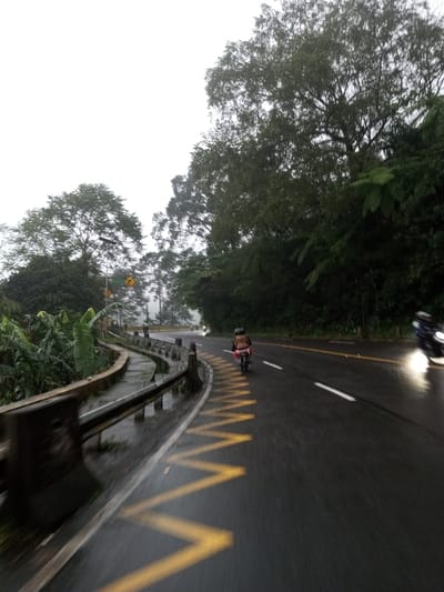 The scene depicts a wet asphalt road curving through a densely vegetated, possibly mountainous, area in Dawathang_Dorjibi_ Kashingtsawa, Bhutan, under an overcast sky. The road surface is visibly damp, reflecting ambient light. On the left, a yellow zigzag pattern is painted on the road shoulder, adjacent to a concrete barrier and a metal guardrail. Beyond the guardrail, lush green vegetation, including banana plants, thrives. Further left, a road sign on a pole with a solar panel is visible against a misty background.

Two motorcycles are present. One, positioned in the middle-left of the road and traveling away from the camera, carries a single rider wearing a helmet and light-colored clothing. This motorcycle appears light-colored, possibly white or silver. A second, dark-colored motorcycle with an illuminated headlight is partially visible on the right side of the road, moving towards or past the camera. Both vehicles are in motion. The surrounding environment is characterized by large, leafy trees and thick undergrowth, with mist obscuring distant details.