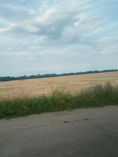 The image depicts a vast, harvested wheat field in the city of Maiske, Ukraine. The field is mostly a golden-brown color, indicative of dry stubble. In the distance, a line of dark green trees forms a treeline along the horizon. Above the field, the sky is a mix of light blue and soft, gray clouds. In the foreground, a dirt road is visible, with a strip of green grass bordering the field. There are no people or animals present in the scene. The overall impression is one of a rural, agricultural landscape under a cloudy sky.