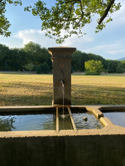 This is a photograph of a stone fountain with a metal spigot from which water is flowing into a stone basin. The fountain is situated in a grassy field with trees in the background. The sky is blue with some clouds. A circular plaque is visible on the front of the fountain, above the spigot. The plaque has an image of a person drinking water and the words "EAU POTABLE" written on it. The image has been taken during daylight. The location is Milvignes, Switzerland.