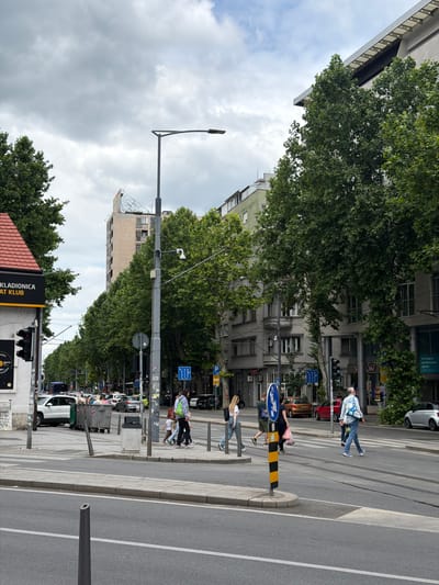 The image shows a street scene in the Palilula Urban Municipality, Serbia. It is a cloudy day, and the street is lined with trees and buildings. In the foreground, a pedestrian crossing is visible, with several people crossing the street. One person is carrying a bag with a soccer ball pattern on it. In the background, cars are driving on the street, and there are tram tracks. A street light with a security camera attached is also visible. To the left, there is a building with a red roof and a sign that says "KLADIONICA". In the distance, a tall building with a billboard on top is visible. The street appears to be busy with traffic and pedestrians.