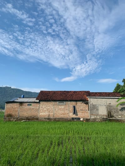 A brick building with a tiled roof sits in front of a green rice paddy field. The building is made of two sections. The section on the left is brick, the section on the right is grey concrete block. There is a window in each section. There are trees behind the building. The sky is blue with white clouds. There are no people in the image. The scene is located in Kecamatan Piyungan, Indonesia at coordinates -7.829 latitude and 110.483 longitude.