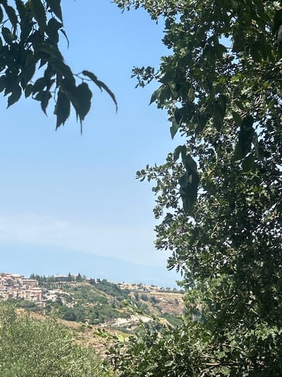 The image shows a view from an elevated position, looking down onto a hillside town in Militello in Val di Catania, Italy. The town, characterized by its red-tiled roofs and stone buildings, is nestled on the green slopes of a hill. In the foreground, large green trees with dense foliage partially obscure the view. The sky is clear and blue, with some faint atmospheric haze visible in the distance, suggesting a warm, sunny day. There are no people visible in the image. The overall scene depicts a rural Italian landscape with a town integrated into the natural environment.