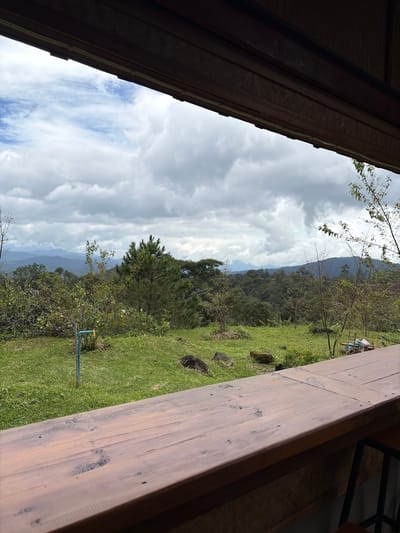 The image shows a view from a wooden balcony or deck overlooking a lush green landscape. In the foreground, a weathered wooden surface suggests a table or railing. Beyond this, a grassy slope leads to a variety of trees and vegetation. A prominent pine tree stands to the right of center, with a blue pipe and faucet visible in the grass to the left. In the distance, rolling hills covered in dense forest stretch towards a cloudy, overcast sky. The overall impression is of a natural, rural setting, possibly in a mountainous region. The location is identified as Ban Khun Wang, Thailand, suggesting a cool, high-altitude environment known for its agriculture and natural beauty. There are no people or animals visible in the frame.