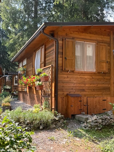 The image shows the exterior of a wooden cabin located in Borno, Italy. The cabin has a sloped roof with a dark gutter system. Two windows with wooden shutters are visible on the facade, one of which is open with sheer curtains. Flower boxes filled with red and pink flowers are mounted below the windows. A trellis with potted plants is attached to the side of the cabin. The ground in front of the cabin is covered with gravel and stones, with various plants and greenery surrounding the structure. In the foreground, large green leaves of a plant are visible. The background consists of tall trees, suggesting a natural or wooded environment. The scene is illuminated by sunlight.