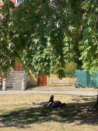 A person lies on dry, patchy grass under the dappled shade of a large tree in a courtyard. The person is lying on their back with their head resting on their arms, appearing to be asleep or resting. They are wearing dark clothing with white stripes down the legs of their pants and a jacket. A black dog is also lying next to the person. In the background, a stone staircase leads up to a building with two wooden doors. To the right of the stairs, a yellow wall is visible, with more wooden doors. Further in the background, there are two benches, one made of wood and the other with a metal frame. A green tarp-like structure is also present. The scene is bathed in sunlight, creating distinct shadows on the grass. The architectural style suggests a historic European setting, possibly within Bratislava, Slovakia.