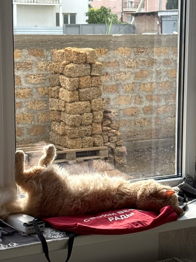 A long-haired ginger cat is sleeping on its back on a red cloth on a windowsill, with its paws extended upwards. The cat's face is partially obscured by its fur. In the background, through the window, there is a wall constructed of rough-hewn, light brown stones, stacked unevenly. Further in the background, more buildings and structures are visible. On the windowsill, to the left of the cat, is a white portable charger. To the right of the cat, partially visible, is a black cloth object. The scene suggests a quiet, domestic setting with an outdoor view, likely in the city of Sudak, Ukraine, given the architectural style of the stone wall and background buildings.