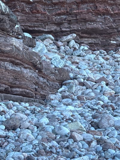 The image depicts a rocky coastline in Pržno, Montenegro. The foreground is dominated by a dense scattering of various sized pebbles and stones, predominantly in shades of grey, white, and brown, with some showing a bluish tint. Behind the beach, a steep, layered rock face rises. The rock face exhibits distinct horizontal striations, with colors ranging from dark reddish-brown to lighter grey and white bands. The texture of the rock appears rough and weathered. The scene is devoid of any people or visible signs of human activity, focusing solely on the natural geological features of the coastal environment.