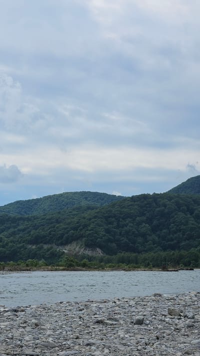 The image depicts a tranquil natural scene with a wide, stony riverbed in the foreground. The river itself is a muted gray, with a rippled surface indicating a gentle flow. Beyond the river, a dense, dark green forest covers rolling hills that rise into the distance. The sky above is overcast with a soft, diffused light, characterized by a mix of light and dark gray clouds. The overall atmosphere is serene and undisturbed, suggesting a remote or less populated natural environment. The image is likely taken in or around Bolshoy Kichmai, Russia, a region known for its natural beauty and forested landscapes. There are no people or man-made structures visible in the frame, emphasizing the untouched wilderness.