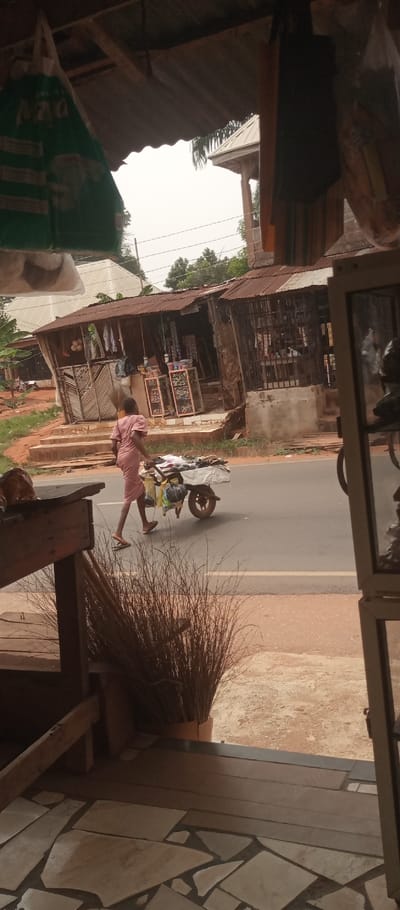 This image presents a street scene in Umuoji, Nigeria, viewed from within a shaded structure. The foreground features an irregularly flagstone-tiled floor, a wooden counter, and a bundle of dried, tall grasses. The midground is dominated by a grey asphalt road. A solitary individual, wearing a light pink tunic and sandals, walks rightward, pushing a two-wheeled cart laden with assorted merchandise, including textiles, footwear, and wrapped items. Across the road, a reddish-brown dirt shoulder precedes a row of several rustic commercial buildings. These structures possess corrugated metal roofs, facades constructed from wood slats, concrete, and metal grates, and display goods such as packaged products in glass cases and hanging apparel. The background reveals green foliage beneath an overcast sky, with utility lines visible. The top section of the frame shows the underside of a corrugated metal roof, from which various items, including a green tote bag, are suspended.