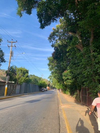 The image depicts a street scene in El Valle del Espíritu Santo, Venezuela. A paved road runs from the foreground into the distance, bordered by a sidewalk on the right and a fence on the left. Lush green trees and vegetation line the right side of the road, with a rusty metal gate visible. On the left, a corrugated metal fence separates the road from a property with some structures behind it. A utility pole with electrical wires stands prominently on the left side of the road. A few cars are parked along the side of the road and driving in the distance. In the foreground on the right, a person wearing a pink and white striped shirt and white shorts is walking away from the camera, casting a shadow on the sidewalk. The sky above is blue with scattered white clouds. The overall impression is of a sunny day in a tropical urban or semi-urban environment.