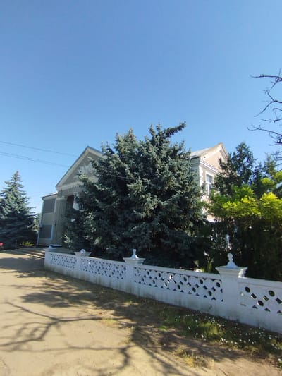 A bright, sunny day in Vasylivka, Ukraine, shows a building with a triangular pediment and classical columns, partially obscured by large evergreen trees. A decorative white fence with circular cutouts runs in front of the building, separating it from a paved area and a patch of grass with small white flowers. The sky is a clear, vibrant blue, and the shadows cast on the ground suggest a high sun. The scene appears peaceful and well-maintained, typical of a public or institutional building in the city.