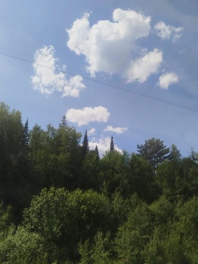 The image captures a serene natural landscape under a bright blue sky dotted with fluffy white clouds. In the foreground, a dense forest of lush green trees stretches across the frame, with various shades of green indicating different types of foliage and varying depths of the woodland. The trees are predominantly deciduous, with some taller, conical evergreen trees interspersed among them. A thin, dark wire is visible traversing the upper portion of the image diagonally against the sky. The scene appears to be a panoramic view of a forest, possibly on the outskirts of a natural area. There are no people or man-made structures apart from the single wire. The image depicts a clear, sunny day with a vibrant, natural setting.