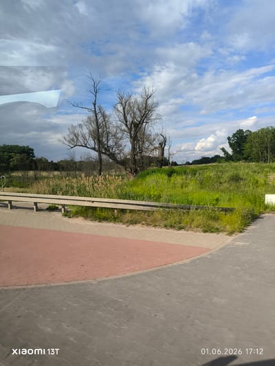The image shows an outdoor scene, likely taken from a moving vehicle.
**Environment:** The landscape includes a grassy field with taller vegetation and bare trees in the background. The sky is visible, featuring a mix of blue sky and white clouds.
**Objects:** A gray guardrail is present in the foreground. The ground consists of red-brick paving with gray paving stones.
**Location:** Żerniki, Poland is mentioned, but no specific identifying markers that explicitly confirms this location are evident.
**Other details:** There is glare reflecting on the windscreen, indicating the photo was taken through glass. Timestamp "01.06.2026 17:12" is present. The camera used is a Xiaomi 13T.