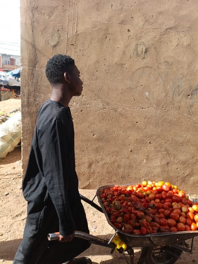 The image displays a daytime scene in Kawaji, Nigeria. A young dark-skinned male, with short dark hair and wearing a loose-fitting black long-sleeved garment, is depicted in profile, facing right. He is actively pushing a dark metal wheelbarrow with his right hand. The wheelbarrow is heavily loaded with a mixture of red tomatoes and peppers, exhibiting varying degrees of ripeness and condition, with some appearing firm and others showing signs of deterioration. The male stands on unpaved reddish-brown earth. Behind him and to his right is a prominent, roughly textured light brown wall, presenting visible indentations and faint graffiti. To the far left, beyond the wall, elements of a market are visible, including structures with blue tarpaulin roofs and other buildings. A large white sack lies on the ground to the left of the wall. The scene is illuminated by direct sunlight.