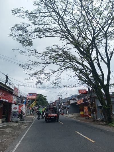 A road stretches into the distance, with a yellow dividing line. A truck and motorbikes move along the road. Buildings line the left side, bearing signs like "Alfamart" and various advertisements. A large tree dominates the right, its branches extending across the sky. Overhead, power lines crisscross, adding to the visual clutter. A cloudy sky suggests an overcast day.