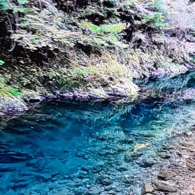 A close-up, high-angle shot captures a section of a body of water with a rocky shoreline covered in vegetation. The water is a vibrant, clear blue, revealing a rocky bottom. The shoreline is characterized by a steep incline covered in mossy rocks and sparse green foliage. The overall impression is one of natural beauty and tranquility, with the bright blue of the water contrasting with the earthy tones of the rocks and greenery. The location is identified as being in the city of Sambir, Ukraine.