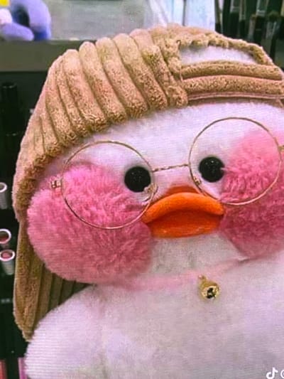The image is a close-up, low-resolution shot of a stuffed toy owl. The owl is primarily white and pink with textured brown ridges on its left side. It has two black button eyes, and a bright orange beak. The owl is wearing a pair of thin, gold-rimmed eyeglasses perched on its face. The right side of the owl, or what appears to be its body, is a soft white material. There is a small gold embellishment on the white fabric to the right of the owl's face. The background is blurred and appears to be indoors, with hints of darker colors and horizontal lines suggesting furniture or shelving. The lighting is not strong, and the overall image quality is grainy. There is no discernible activity taking place, as it is a still image of an object. No text is visible in the image. The provided location context of Cadek, Indonesia does not offer any visible cues within the image itself.