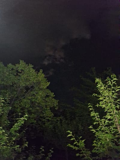 The image is a low-light photograph of trees against a dark, cloudy night sky. The trees are mostly dark green, with some lighter green leaves visible, suggesting they are deciduous. The sky is a deep, dark gray with lighter gray clouds, some of which appear to be illuminated from behind, possibly by the moon. The overall impression is that of an outdoor scene at night, likely in a natural or semi-natural setting within the city of Yeghegnadzor, Armenia. There are no people, objects, or actions depicted in the image. The photograph has a grainy texture, common in low-light photography.
