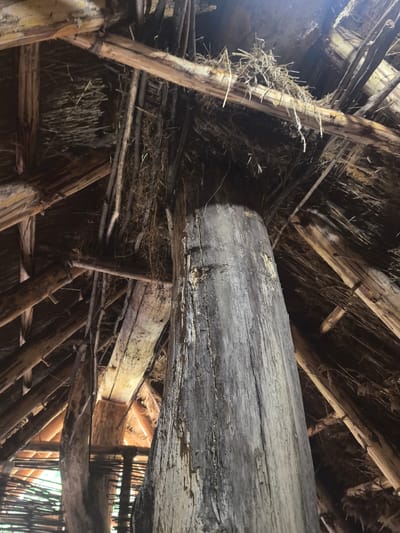This is a close-up, low-angle interior shot of the roof structure of a rustic building, possibly a dwelling or historical reconstruction, located in Камянюцкі сельскі Савет, Belarus. The primary focus is a thick, vertical wooden pillar in the foreground, made of rough-hewn, weathered wood with visible cracks and peeling bark. This pillar supports several horizontal beams and diagonal rafters made from natural, unrefined logs and branches. The roof itself appears to be constructed from layers of dried grass, straw, or reeds, with some of this material hanging down between the wooden structural elements. The lighting suggests an overcast day or a dimly lit interior, with some light filtering in from the gaps in the roof, creating shadows and highlighting the textures of the materials. The overall impression is one of a traditional, handmade structure, emphasizing natural materials and a primitive building technique. No people or animals are visible in the frame.
