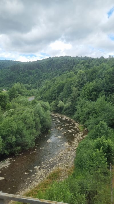 The image displays a serene landscape in the Carpathian Mountains, near the village of Volosianka, Ukraine. A winding river, with a rocky bed and clear, shallow water, flows through a verdant valley. The riverbanks are lined with lush green trees and vegetation, suggesting a temperate climate. In the background, rolling hills covered in dense forest rise towards a cloudy sky. The overall scene evokes a sense of natural beauty and tranquility. There are no people or animals visible in the image, nor any discernible human structures apart from a distant, small building on the left bank of the river.