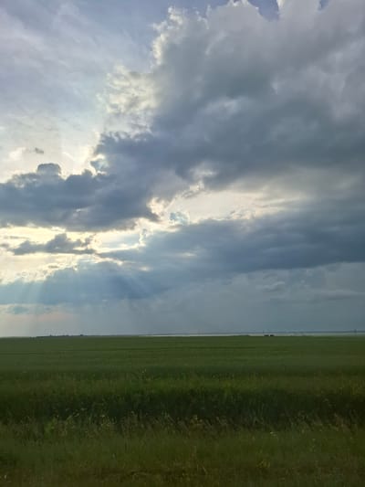 This is a landscape photograph taken in a rural area. The image is dominated by a dramatic sky filled with a mix of dark, brooding clouds and patches of bright sunlight that create visible sunbeams. The clouds suggest that the weather may be changing, possibly with the approach of a storm or the clearing after one.
To the right of the sky, a vast, flat expanse of green grassland stretches towards the horizon. The grass appears to be a field, possibly used for agriculture or as pasture. The horizon line is sharp and well-defined, separating the sky from the land. In the far distance, faint vertical lines suggest the presence of utility poles or fence posts, indicating human presence in the otherwise natural landscape.
The orientation of the photograph is such that the sky takes up the majority of the left side and the grassland occupies the right side. The lighting suggests it is either early morning or late afternoon, given the angle and intensity of the sunbeams. There are no people or man-made objects prominently featured, emphasizing the natural scenery. The overall mood of the image is one of natural grandeur and the vastness of the open landscape. The location context indicates this scene is from the Avangard rural district in Kazakhstan.