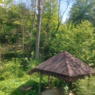 The image shows a partially obscured view of a wooden gazebo roof in a forested area. The roof is covered with brown, overlapping shingles and has a decorative wooden trim. Surrounding the gazebo are trees with green leaves and undergrowth. The scene is bathed in sunlight, suggesting it is daytime. The image is taken in Balkantsi, Bulgaria.