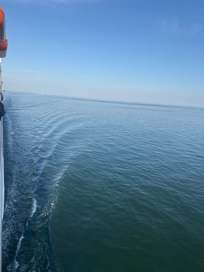 This media file is a photograph taken from the perspective of a boat or elevated platform looking out over a large body of water. The water is calm with gentle ripples, reflecting the clear blue sky above. The horizon is visible, appearing distant and hazy, suggesting a wide expanse of water.

In the foreground, parts of a vessel are visible, including orange life preservers. The image is oriented vertically, with the sky occupying the left side and the water the right. The lighting suggests it is daytime, likely morning or afternoon, with bright, diffused sunlight. The weather appears clear and pleasant, with no visible clouds apart from a few wispy trails in the sky.

There are no identifiable people or specific landmarks that would pinpoint a precise location, though the vastness of the water and the calm conditions might suggest a lake or a calm sea. The overall mood is serene and peaceful, emphasizing the natural beauty of the seascape. No text is visible in the image.
