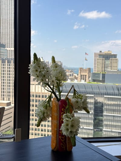 In Chicago, Illinois, USA, a close-up, eye-level shot displays a hot dog-shaped vase filled with white flowers, placed on a dark wooden table in front of a window. The vase is red with yellow mustard-like accents and writing that appears to say "Eat." The white flowers are delicate and clustered, with some buds visible. Beyond the vase, through the window, the cityscape unfolds under a bright blue sky with scattered clouds. Prominent in the background are various skyscrapers and buildings, including a tall, light-colored building on the left and a cluster of buildings in the center with a gothic-style stone structure among them. Flags, including the American flag, are visible on a flagpole. The scene suggests an indoor setting with a view of urban architecture and a clear day. There are no people visible in the image.