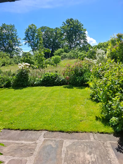 The image shows a well-maintained garden in Middleton Tyas, United Kingdom. In the foreground, a paved area made of large, irregular grey stones transitions to a lush green lawn. Behind the lawn, a line of wooden posts forms a rustic fence. Beyond the fence, there is a diverse range of flowering plants and shrubs, including white hydrangeas on the left and pink roses further to the right. The garden is bordered by a variety of mature trees with dense green foliage, creating a natural backdrop. The sky above is a vibrant blue with a few scattered white clouds. The scene depicts a peaceful and idyllic summer day in a rural setting.