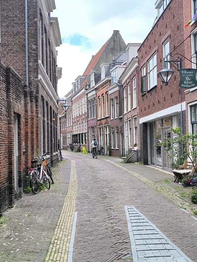 This is an eye-level, medium shot of a narrow, cobblestone street lined with brick buildings in the city of Haarlem, Netherlands. The street slopes slightly upward into the distance. On the left, a tall brick building with arched windows dominates the foreground, with two bicycles parked along its base. Further down the street, more brick buildings with various window styles and rooflines are visible.
A person is riding a bicycle in the middle of the street, heading away from the camera. To the right, another brick building features a hanging sign that reads "D. Burger De Silver smidsche." Next to this building, a wooden bench and potted plants are situated. The sky is overcast with scattered clouds. The overall atmosphere is quiet and residential.