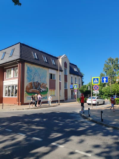 This media file depicts a street scene in Zelenogradsk, Russia, on a clear, sunny day. The foreground is dominated by a road with tree shadows cast across it. In the mid-ground, a two-story building with a dark, tiled roof and multiple dormer windows stands prominently. The building's facade is decorated with a large, colorful mural of a ginger cat lying on grass with a Ferris wheel behind it. Several people are standing on the sidewalk in front of the building, some looking at the mural and others appearing to converse.

To the right of the building, a white car is parked near a crosswalk. A series of traffic signs are visible, including pedestrian crossing signs and a no-stopping sign. Two individuals are standing on the sidewalk near the crosswalk, one wearing a red shirt and black shorts, and another in a red t-shirt with a graphic and patterned shorts. Trees and greenery form the background on the right side of the image, suggesting a suburban or town setting. The presence of the mural, the architecture, and the traffic signs are key visual elements of this scene. The bright sunlight and clear blue sky indicate it is daytime. No specific event is clearly depicted, rather a snapshot of everyday life in a town.