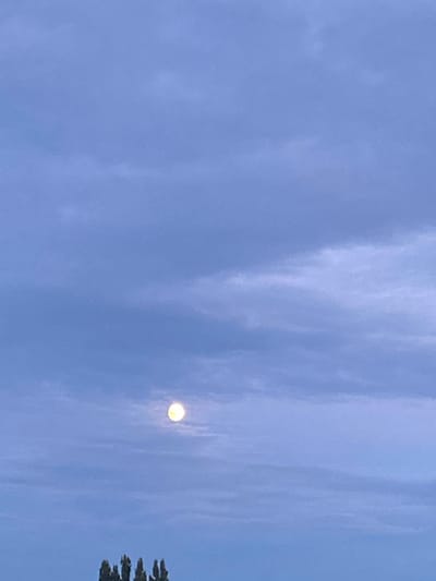 The image shows a full moon against a cloudy, pale blue sky. The moon is bright and slightly off-center in the frame. The lower portion of the image shows the tops of several coniferous trees, silhouetted against the sky. The environment appears to be outdoors, likely in a rural or semi-rural area, given the presence of trees. There are no people or vehicles visible. The overall lighting suggests it might be dusk or dawn. No specific location in Usman, Russia can be determined from the visual information provided.
