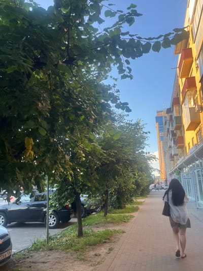 A young woman with long dark hair, wearing a light-colored shirt and shorts, walks down a paved sidewalk lined with trees and grass. She is carrying a dark bag over her shoulder and is facing away from the camera. The scene is set in front of a modern building with balconies and yellow and orange facades. Beyond the immediate building, another taller building with blue glass windows is visible. The sky is clear and blue, indicating a sunny day. Several cars are parked along the street. The overall atmosphere appears to be a casual, urban environment during daytime. There is no discernible text in the image.