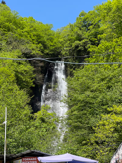 This image depicts a natural waterfall cascading down a rocky cliff, surrounded by a dense, vibrant green forest. The scene is set under a clear, bright blue sky, visible in the upper left portion of the frame. The waterfall is the central focus, appearing as a long, white stream of water against a dark, wet rock face.
Lush deciduous trees and various green shrubs completely cover the landscape around the waterfall, suggesting a verdant, perhaps mountainous or hilly, natural environment. Several electrical wires or cables stretch across the mid-ground, slightly intersecting the natural scenery. One cable has a distinctive blue protective wrapping.
In the bottom right corner of the image, elements of human presence are visible. A portion of a purple awning or umbrella from what appears to be a vendor stall or small cafe is present. Below this, a red sign with white lettering clearly reads "TORNADO POTATOES," indicating a commercial food vendor nearby.
The lighting suggests a sunny day, likely in late spring or summer, given the full foliage of the trees. There are no people visible in the frame. The overall impression is a blend of natural beauty and commercial activity, common in popular tourist spots like Kveda Makhuntseti, Georgia, where this photograph was taken.