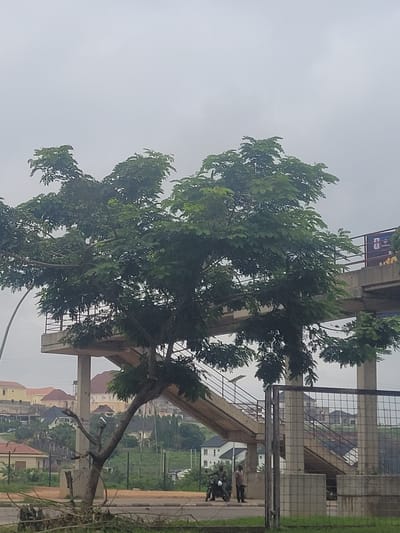 The image depicts an outdoor scene in Aso, Nigeria, under an overcast sky. In the foreground, a tree with dense green foliage is positioned in front of a concrete pedestrian overpass with stairs and railings. The overpass structure appears to be a support pillar for a larger elevated walkway or bridge. In the middle ground, several residential buildings with varying architectural styles are visible on a hillside. Two men are present near the base of the overpass, one standing next to a motorcycle and the other standing. The environment appears to be a developing urban or suburban area with a mix of natural elements and man-made structures.