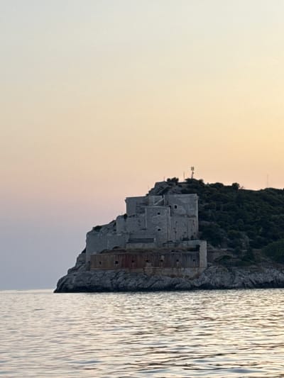 A fortress, likely an old military structure, sits atop a rocky, tree-covered hill that juts out into calm, rippling water. The fortress is made of grey stone with some sections appearing weathered and rust-colored. It has multiple levels and sections, with visible windows or openings. The sky above is a soft gradient of pale yellow and pink, suggesting either sunrise or sunset. The water in the foreground reflects the colors of the sky and the structures on the hill. There are no people or animals visible in the image. The overall scene is serene and historic, with the fortress being the central subject. The fortress is located in Vitaljina, Croatia.