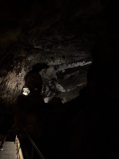 The image shows the interior of the Coves del Drach (Caves of Drach) in Manacor, Spain. A dark, rocky cave interior is illuminated by a spotlight that shines upon a single, dimly lit figure wearing a blue top. The cave walls exhibit rough, textured surfaces. In the lower right corner, a glimpse of steps and metal railings suggests a guided tour route. The environment is dark, damp, and appears to be a popular tourist attraction.