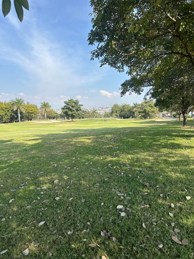 The scene depicts a wide-angle outdoor view of a golf course or extensive parkland located in Tezoyuca, Mexico. The sky is clear blue with sparse, white, wispy clouds. The foreground consists of green grass interspersed with numerous scattered dry leaves, with prominent shadows from unseen trees extending across the lower portion of the frame. The mid-ground features a vast, undulating green expanse characteristic of golf fairways, dotted with various trees, including several tall palm trees and broadleaf trees. Lighter colored ground areas, consistent with sand bunkers, are visible. Two small, indistinct human figures are walking across the fairway in the middle distance, moving generally from left to right. A third, small red object or person is observable further to the right in the mid-background. The background reveals a horizontal expanse of urban development, displaying numerous buildings and structures, with distant hills or mountains visible on the horizon. Overhanging green foliage from large trees partially frames the upper right and top-left edges of the image.