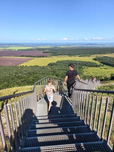An eye-level, full outdoor shot captures a group of people descending a metal staircase on a sunny day. The staircase is constructed of metal grating for the steps and has sturdy metal railings on either side. The steps are angled downwards and lead into a vast landscape.
In the foreground, a young boy with blond hair walks down the stairs, his back to the camera. He is wearing a light-colored t-shirt with a pattern and grey shorts. To his right, and slightly ahead, a man in a black t-shirt, black pants, and a black baseball cap walks down, his back also to the camera. He is holding a dark object in his right hand. Further down the staircase, three women are visible, also walking downwards. They are wearing casual clothing: one in a black top and dark shorts, another in a white top and dark shorts, and the third in a patterned top and dark shorts.
The background reveals a sprawling panoramic view of the Shikhan region in Russia. A patchwork of agricultural fields, some a deep reddish-brown and others a vibrant green, stretches out below. Beyond the fields, dense green forests cover the rolling hills. In the far distance, a hazy horizon line suggests more landscape features or possibly a body of water under a clear, bright blue sky with a few wispy white clouds. The overall impression is a scenic overlook offering a grand view of the natural surroundings.