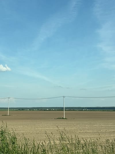 The image depicts an expansive rural landscape in Dnp Ryzhiki, Russia, under a light blue sky with scattered white, wispy clouds and faint contrails. A vast, flat, brown field, showing evidence of recent tilling or harvesting with horizontal furrows, occupies the midground. Two white utility poles, appearing equidistant and supporting multiple taut power lines, stand within the field, extending across the upper-mid portion of the frame. The pole on the left is partially obscured by a cloud, while the pole on the right is fully visible. In the distant background, a dark green tree line marks the horizon, interspersed with several small, white structures indicative of a distant settlement. The immediate foreground features out-of-focus green grasses and weeds. No people or discernible actions are present.