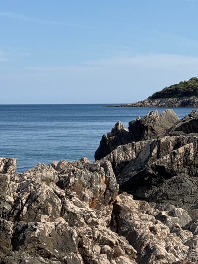 This media file depicts a rocky cliff face overlooking a calm blue sea under a clear sky. The image is oriented vertically, with the sea occupying the left portion and the rugged rocks dominating the right. A small patch of green vegetation can be seen at the top left, suggesting the cliff is part of a larger, vegetated landmass. The water exhibits subtle horizontal lines, indicative of gentle movement or ripples on its surface. The rock formations are characterized by sharp angles, deep crevices, and varied textures, with some areas appearing lighter due to sun exposure and others darker in shadow. The lighting suggests it is daytime, likely with bright sunlight illuminating the scene. The location is identified as Dubraljevina, Montenegro. There is no visible text in the image. The scene evokes a sense of natural beauty and tranquility, highlighting the stark contrast between the solid, ancient rock and the fluid expanse of the sea.