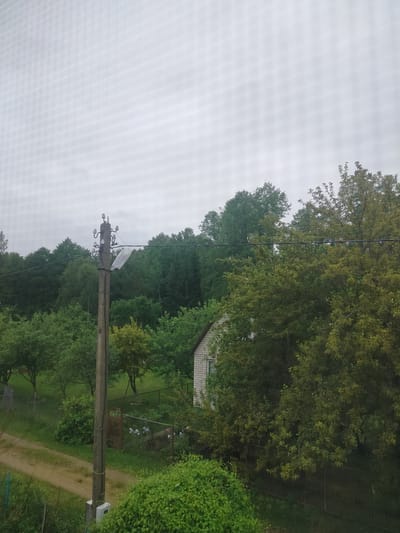 The image depicts a rural scene on an overcast day, likely in or near Дзешчанскі сельскі Савет, Belarus. In the foreground, a dirt road or path runs diagonally through lush green vegetation. A concrete utility pole with multiple ceramic insulators and a detached light fixture stands prominently to the left of the road. Behind the pole, a metal fence encloses a garden area with a decorative gate and several white objects, possibly ornamental figures, scattered within. A small, light-colored brick building with a visible window is partially obscured by dense foliage on the right side of the frame. The background is dominated by a dense forest with a variety of trees, some with dark green foliage and others with lighter, yellowish-green leaves. The sky is uniformly grey and cloudy. The overall impression is one of a quiet, slightly overgrown, and naturalistic residential or garden area in a rural Belarusian setting.