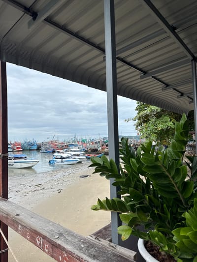 The image shows a view from a covered walkway, looking out towards a busy harbor filled with numerous fishing boats. The walkway has a corrugated metal roof supported by dark grey vertical beams. In the foreground, a lush green plant in a white pot is partially obscuring the view. To the left, a wooden railing is visible, with a rope attached to a post.

The harbor itself is crowded with a variety of boats, mostly fishing vessels with colorful hulls and rigging, docked close together. Some smaller speedboats are nearer to the shore. The water is a murky gray, reflecting the overcast sky. The shoreline is sandy, with some debris visible. In the distance, beyond the harbor, a green treeline and what appears to be part of a town or settlement can be seen. The sky is cloudy, indicating an overcast day. The scene is consistent with a working fishing harbor, such as the one found in Ban Phe, Rayong Province, Thailand, which is known for its fishing fleet and proximity to the islands. There are no people clearly visible in the image.