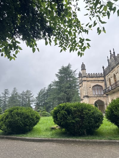 The image shows an exterior view of a historical building with a gothic architectural style, characterized by its ornate stone facade, pointed arches, and decorative turrets. The building appears to be a palace or castle. In the foreground and to the left, lush green foliage from trees and bushes frames the scene. A well-maintained lawn with manicured shrubs and taller conifer trees extends from the building towards a paved walkway. The walkway, made of interlocking stones, runs along the right side of the image. The sky is overcast and hazy, suggesting a cloudy or misty day. The overall impression is one of serene grandeur, with the natural elements complementing the impressive architecture. The lighting is soft and diffused due to the cloudy weather. No people are visible in the image, and there is no visible text. The orientation of the image is rotated 90 degrees counter-clockwise.