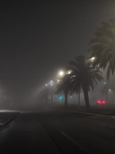 The image captures a foggy night scene on a street lined with palm trees, likely in San Fernando, Chile. The fog significantly reduces visibility, creating a diffused, atmospheric effect. Streetlights are visible, casting a soft glow that struggles to penetrate the dense fog. In the distance, a car's red taillights are prominent, indicating movement on the road. Traffic signals are also present, with one appearing to show a green light. The ground appears wet, suggesting recent rain or damp conditions. The overall impression is one of quiet, perhaps deserted, urban night with limited visibility due to heavy fog.