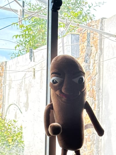 A brown, plush toy with large eyes and a long, thin arm is positioned against a window. The toy is viewed from a low angle. Outside the window, there is greenery, a building, and what appears to be clotheslines. The location is San Fernando del Valle de Catamarca, Argentina.