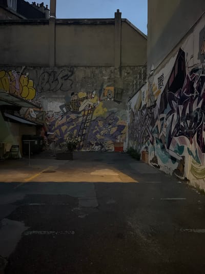 The image depicts a narrow alleyway between two buildings, adorned with vibrant graffiti. The alley is paved with asphalt and has a yellow line painted on the ground, suggesting it is a street or pathway. The walls of the buildings are covered in an array of colorful and intricate graffiti art, featuring abstract shapes, stylized figures, and what appear to be cartoon characters.

On the left wall, a large piece of graffiti dominates the upper section, with bold lines and a dark, purplish color palette. Below this, more graffiti in various styles and colors covers the wall, including some featuring yellow, pink, and blue hues. One section of the graffiti on the left wall shows a ladder leaning against it, with figures in what looks like a comic strip style. There are also some architectural details visible on the building, such as a drainpipe and guttering.

On the right wall, the graffiti continues, with more abstract designs and figures. The ground surface of the alley shows some wear and tear, with cracks and patches in the asphalt. To the right of the alley, a portion of a grey building is visible, and further on, a metal fence or railing.

The lighting in the image suggests it is either early morning or late evening, with a soft, diffused light. The sky visible in the upper left corner appears to be a pale blue, indicating daylight. The overall atmosphere is urban and gritty, with the graffiti adding a splash of artistic expression to the otherwise utilitarian setting. There is no clear indication of specific activity or event taking place, other than the artwork itself being on display. Some text is visible within the graffiti, though it is difficult to decipher specific words or phrases clearly due to the stylized nature of the lettering and the image resolution. However, some of the lettering appears to be in a block font, while other sections are more abstract. The setting appears to be an urban environment, likely a back alley or a designated graffiti art space.