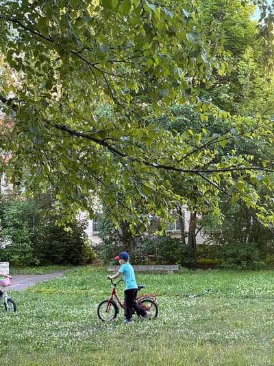 A boy in a light blue t-shirt, black pants, and a blue cap with a red brim rides a red bicycle in a grassy area. He is positioned on the right side of the frame, facing left. The bicycle has black tires and a red frame. In the background, there are trees with green leaves and a building with windows. The grass is green and dotted with small white flowers, suggesting a warm, possibly late spring or summer day. The lighting suggests it is daytime, possibly late afternoon given the angle of the shadows. The scene appears to be a park or a residential area with a garden. No visible text is present on the boy, bicycle, or in the surrounding environment.